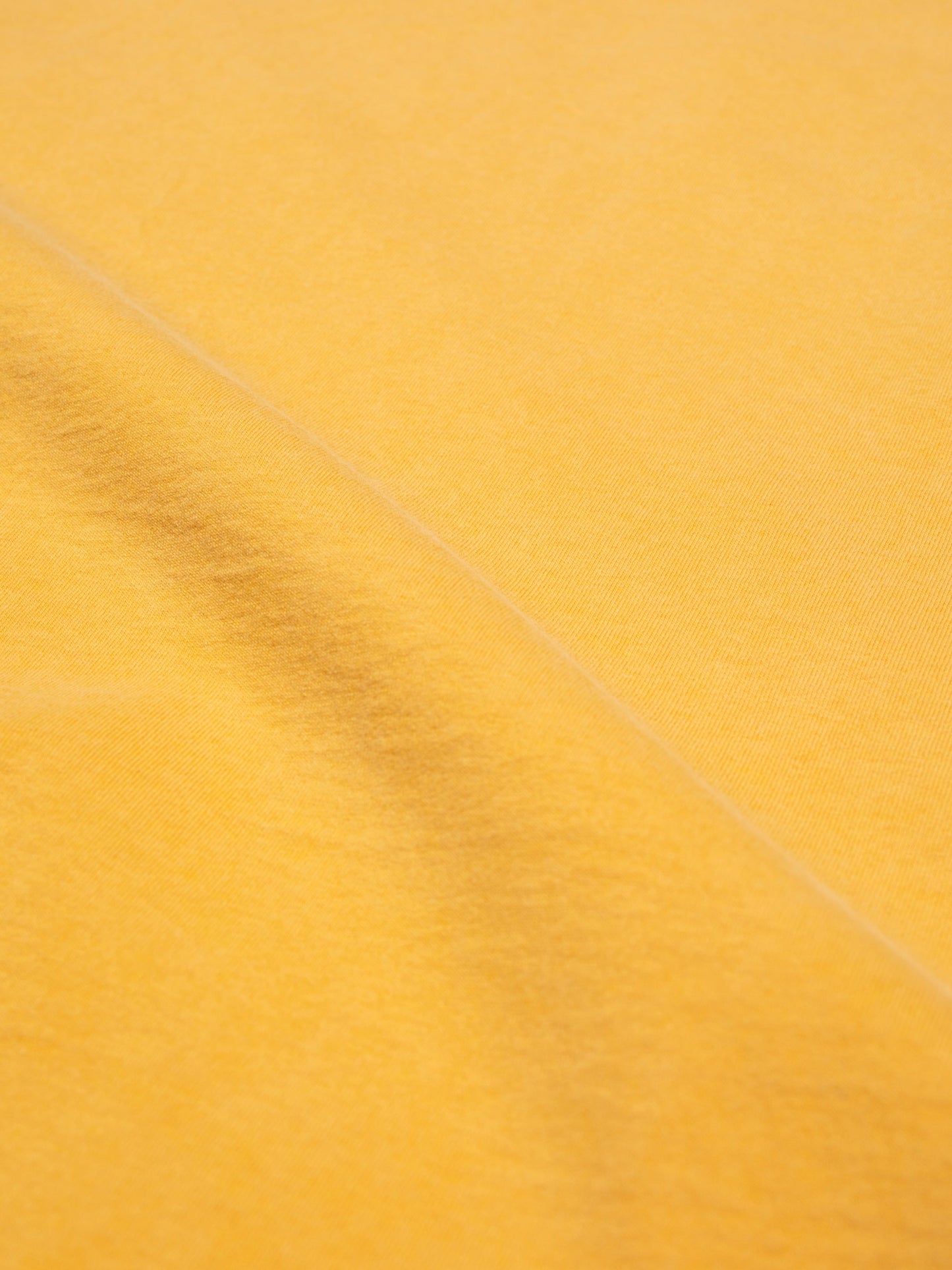 8992_b5ed96302d-131970y01_roy-average-t-shirt-yellow-2-2400