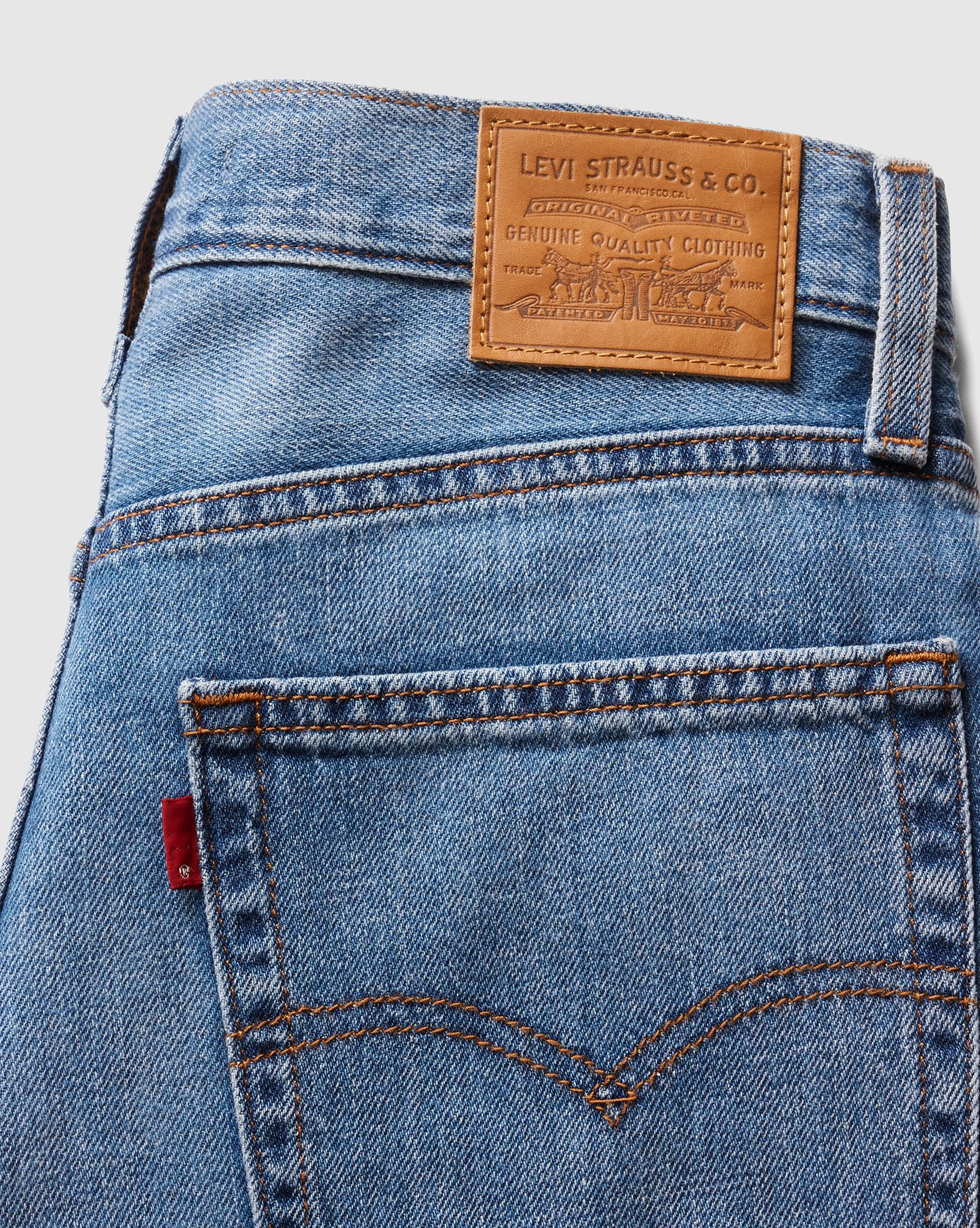Levi’s® - BAGGY DAD - Heavy Check