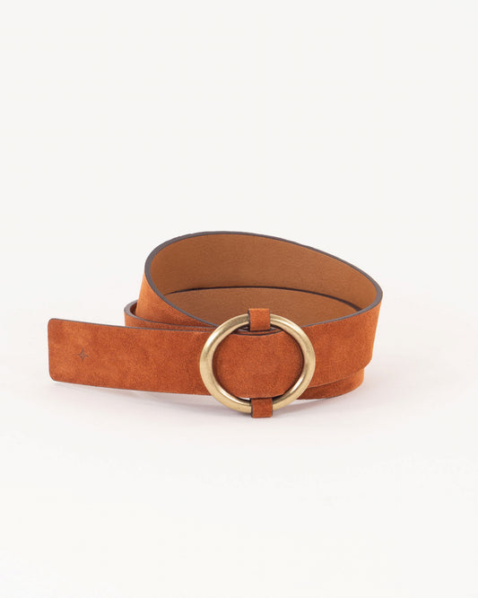 p1020947_320063_1_6107f254852c0