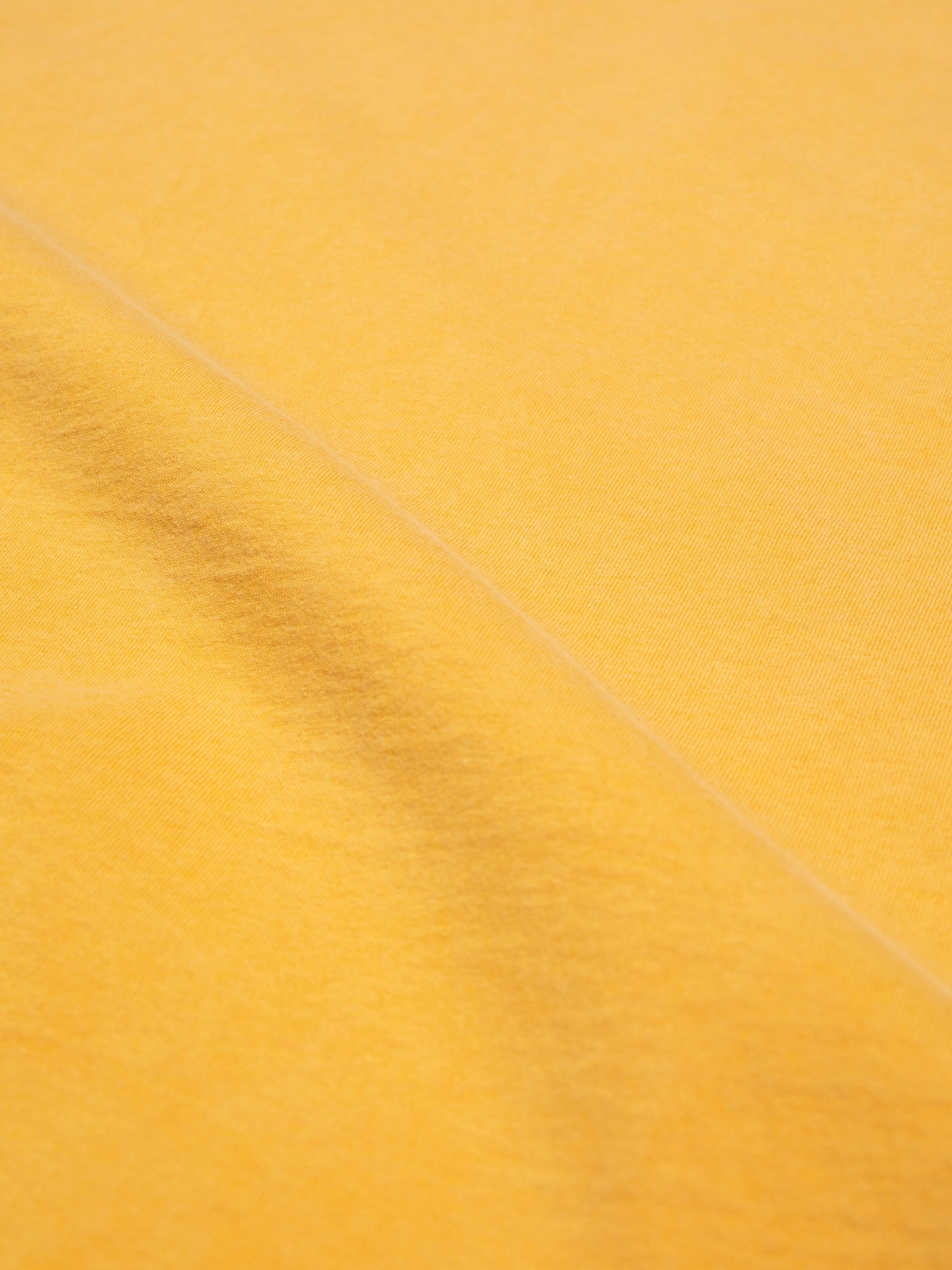 8992_b5ed96302d-131970y01_roy-average-t-shirt-yellow-2-2400