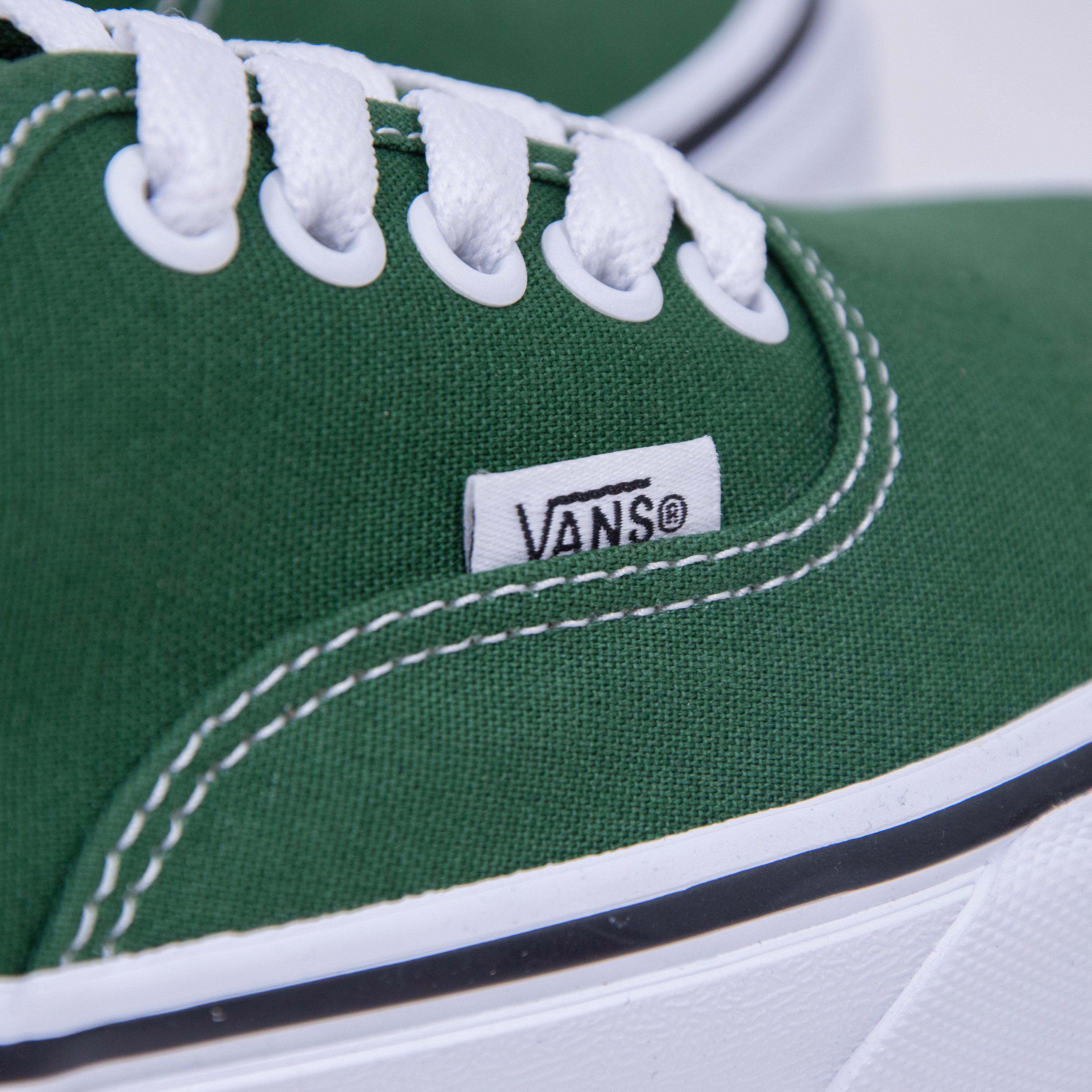 Vans - AUTHENTIC - Color Theory Greener Pastures
